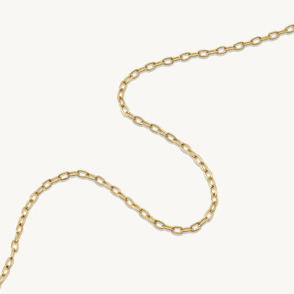 Filomena Dainty Cable Chain Necklace